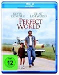 Perfect World